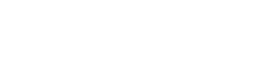 Proton e.MAS